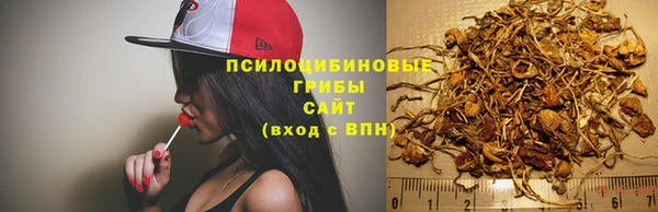 спиды Аркадак