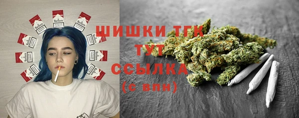 спиды Аркадак