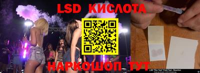 шишки Бийск