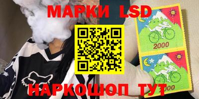 стафф Берёзовский