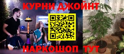 стафф Берёзовский