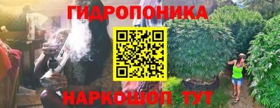 шишки Бийск