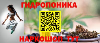 стафф Берёзовский