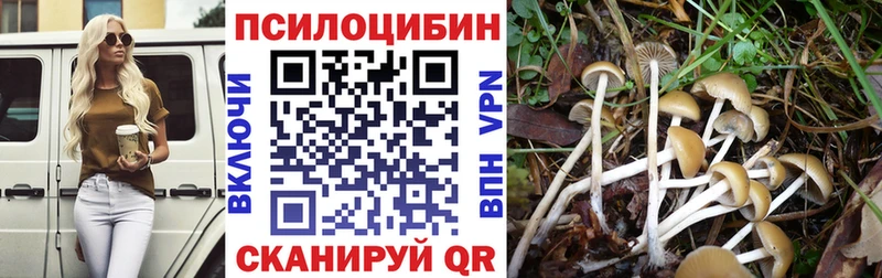 где можно купить   Дедовск  Галлюциногенные грибы мицелий 