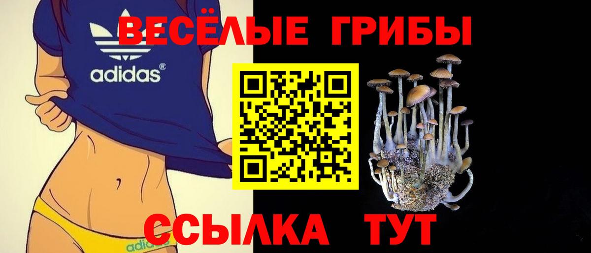 Дедовск  Псилоцибиновые грибы Magic Shrooms  Вход с VPN 
